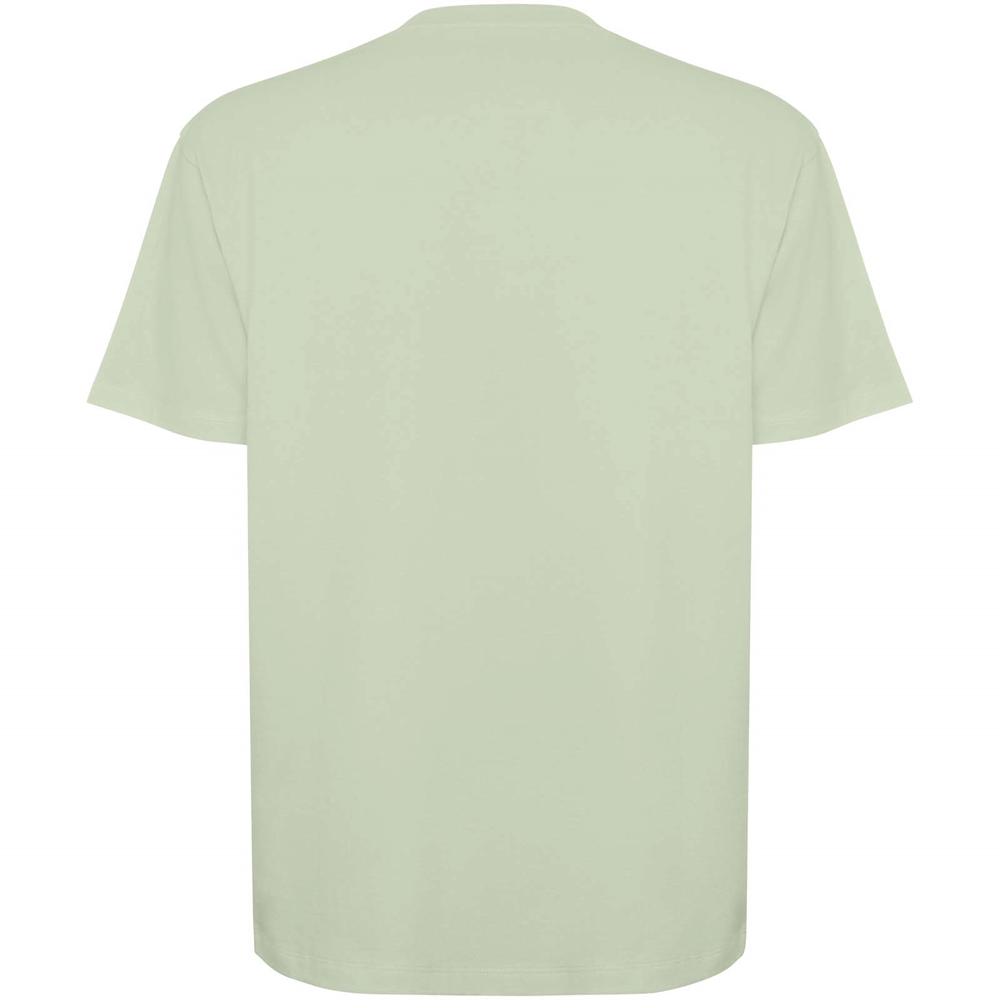 Bull 210 g/m² genvundet kortærmet unisex T-shirt i farven Tågegrøn