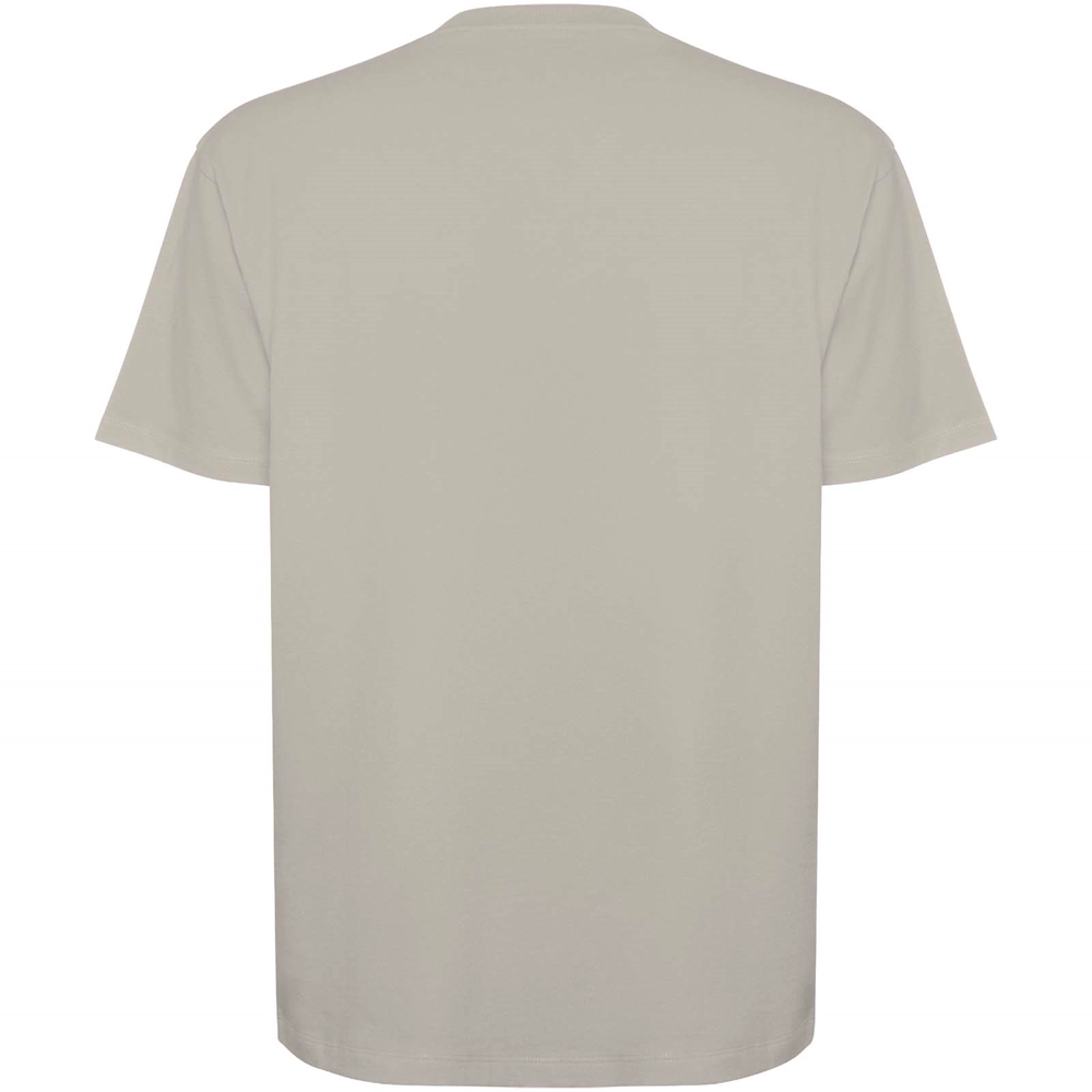 Bull 210 g/m² genvundet kortærmet unisex T-shirt i farven Stone Grey