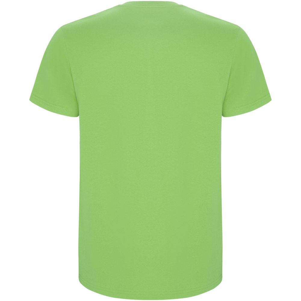 Stafford 190 g/m² kortærmet t-shirt til mænd i farven Oasegrøn