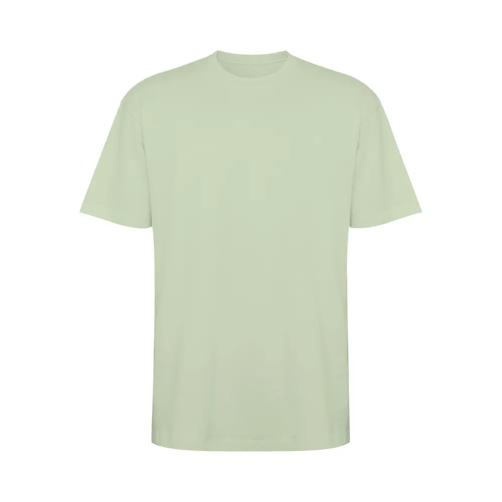 Bull 210 g/m² genvundet kortærmet unisex T-shirt i farven Tågegrøn